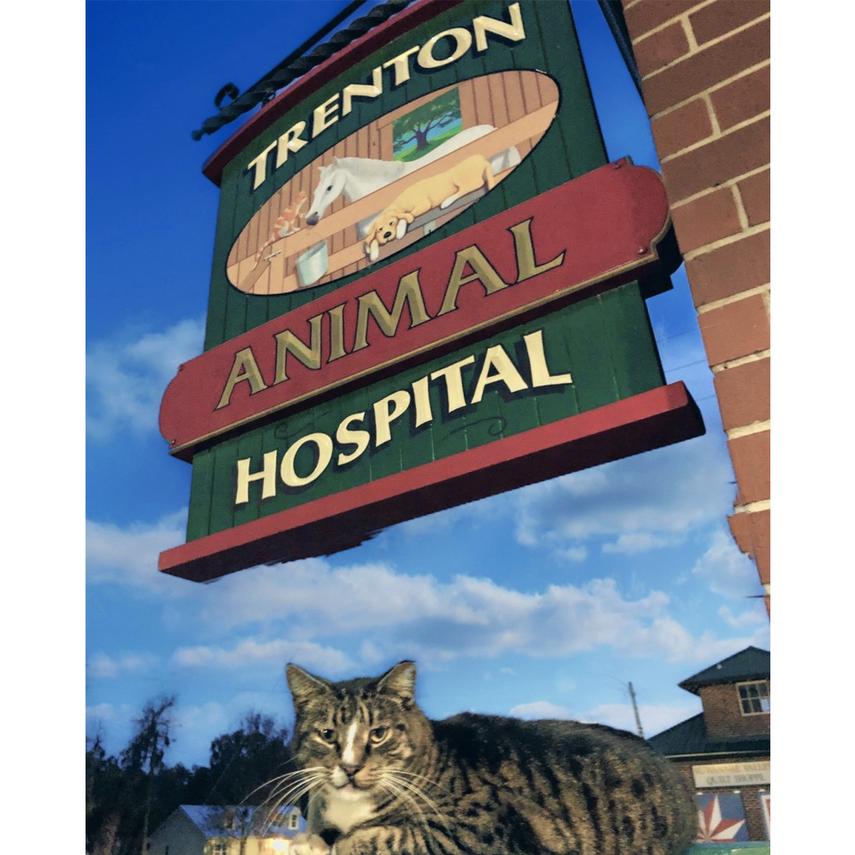 Bently under sign - small